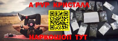 не бодяженный Кингисепп