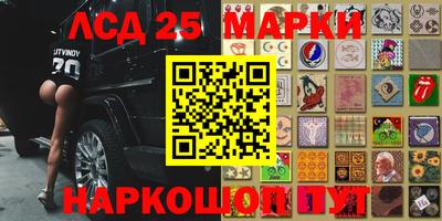 бошки Кимры