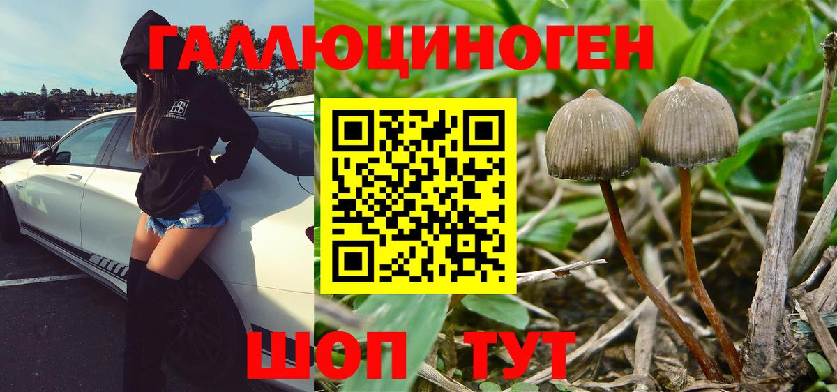 Галлюциногенные грибы Magic Shrooms  Псилоцибиновые грибы ЛСД  Вход с VPN  Великий Устюг 